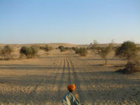 Nous avons de la chance . . .