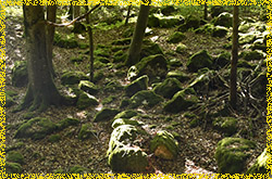 Vuiteboeuf > Bretonni&egrave;res