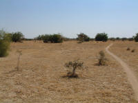 . . . en direction de l'ouest et de la fronti�re pakistanaise (o� l� aussi c'est chaud)!