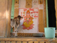 . . . la date du mariage des habitants !